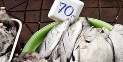 Teach a man to fish…” The case for empowering low-income households to shop efficient