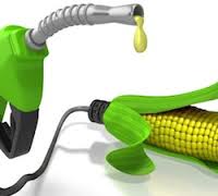 Biofuels Market size, Volume Forecast and Value Chain Analysis 2015-2021