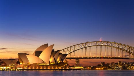 Member voice of the week: Should Australia replicate the solar industry in India?