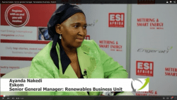 Resolving South Africa’s Renewables Integration Challenge