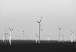 Wind Power Can Improve The Resiliency Of Electric Grids