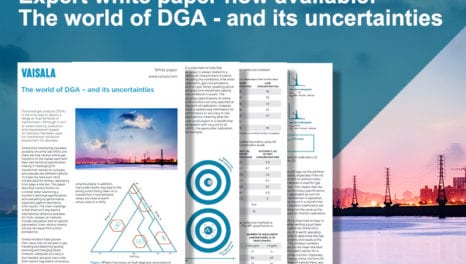Expert white paper: The world of DGA monitoring and its uncertainties