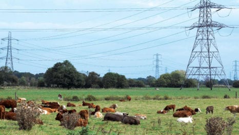 Government capacity market measures will hit distributed generation, ADE warns