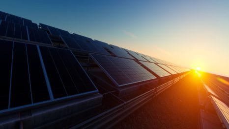 Cadent launches Norfolk solar farm to power its own sites