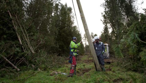 SHET to cut power failures through pole monitoring