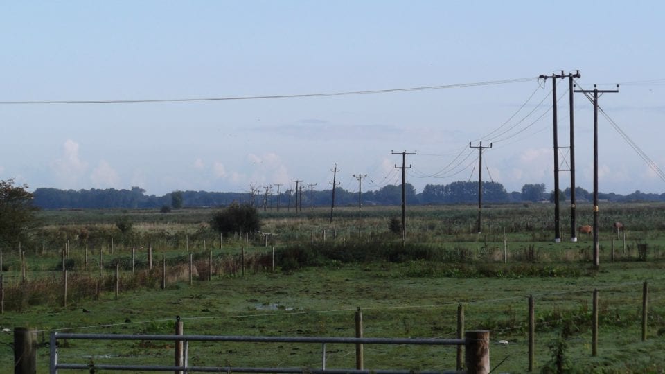 Power lines to be removed at South Walsham Marshes