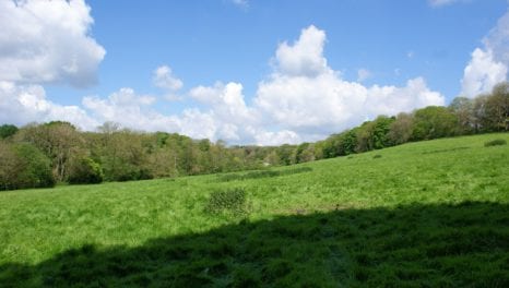 UKPN works with Kent Downs AONB to underground power lines