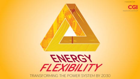 Energy flexibility: transforming the power system by 2030