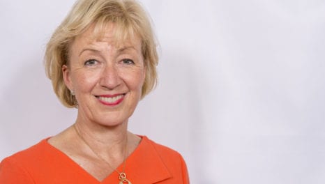 Leadsom sets out scope of investigation into power cuts