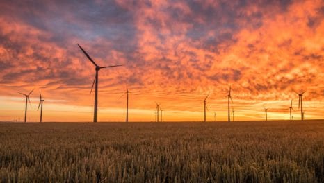 Government abandons opposition to subsidising new onshore windfarms