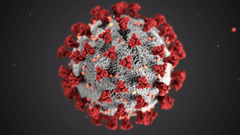 Coronavirus: the networks react