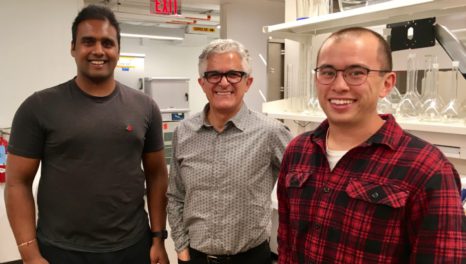 Yale team models energy use in batch RO processes